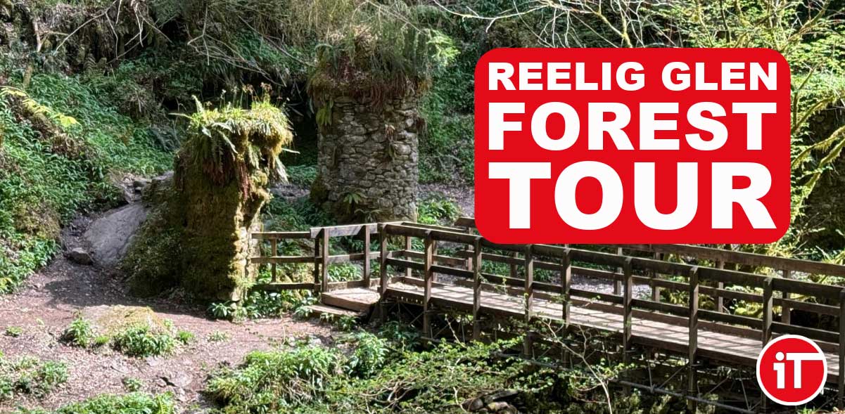 Reelig Glen Forest Walk Discover Scotlands Enchanted Forest