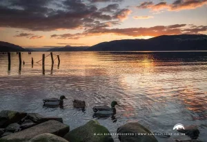 Short Loch Ness Tour